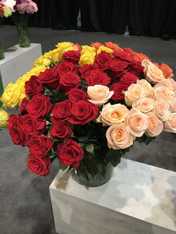 Roses on Sale | 50% Off Roses | Orange County Wholesale ...