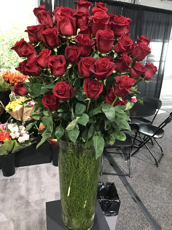 Roses on Sale 50 Off Roses Orange County Wholesale Flowers Newport